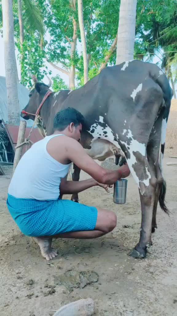 @siva