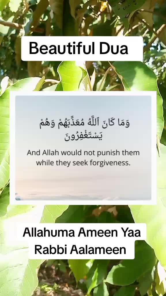 @Amir_quran🕋🪐🕌
