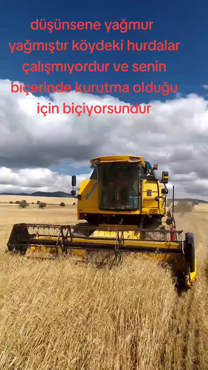 @Nazir Serbes