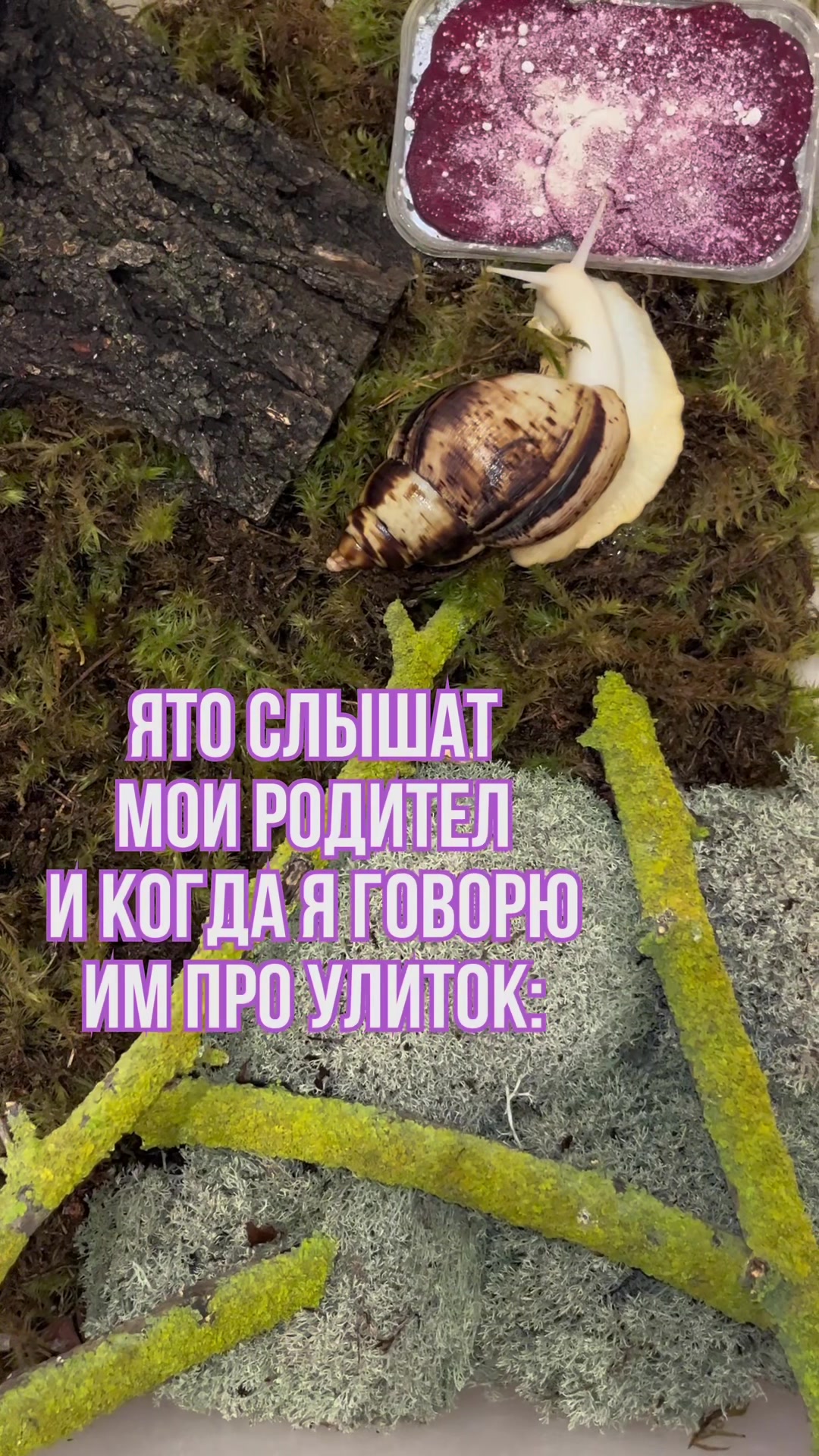 @_.v_snail_v._