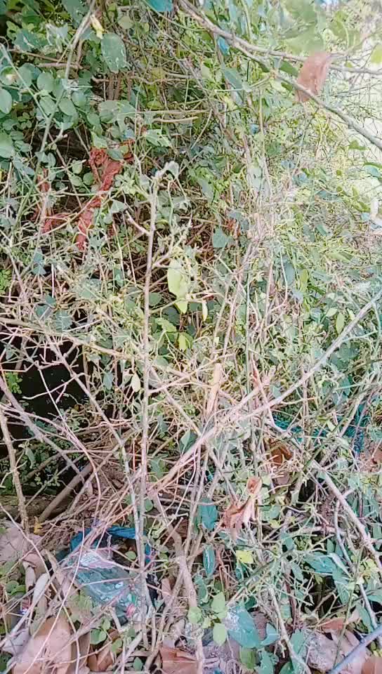@କଲ ME ରାକେଶ