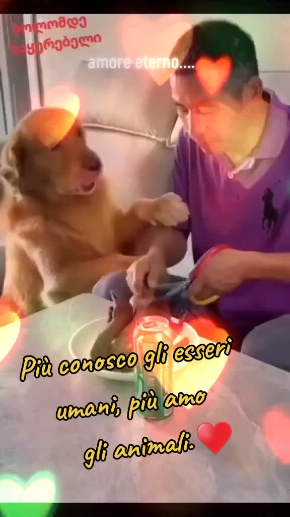 @โ ๏ธ๐ฑ๐๐๐๐๐๐โ ๏ธ