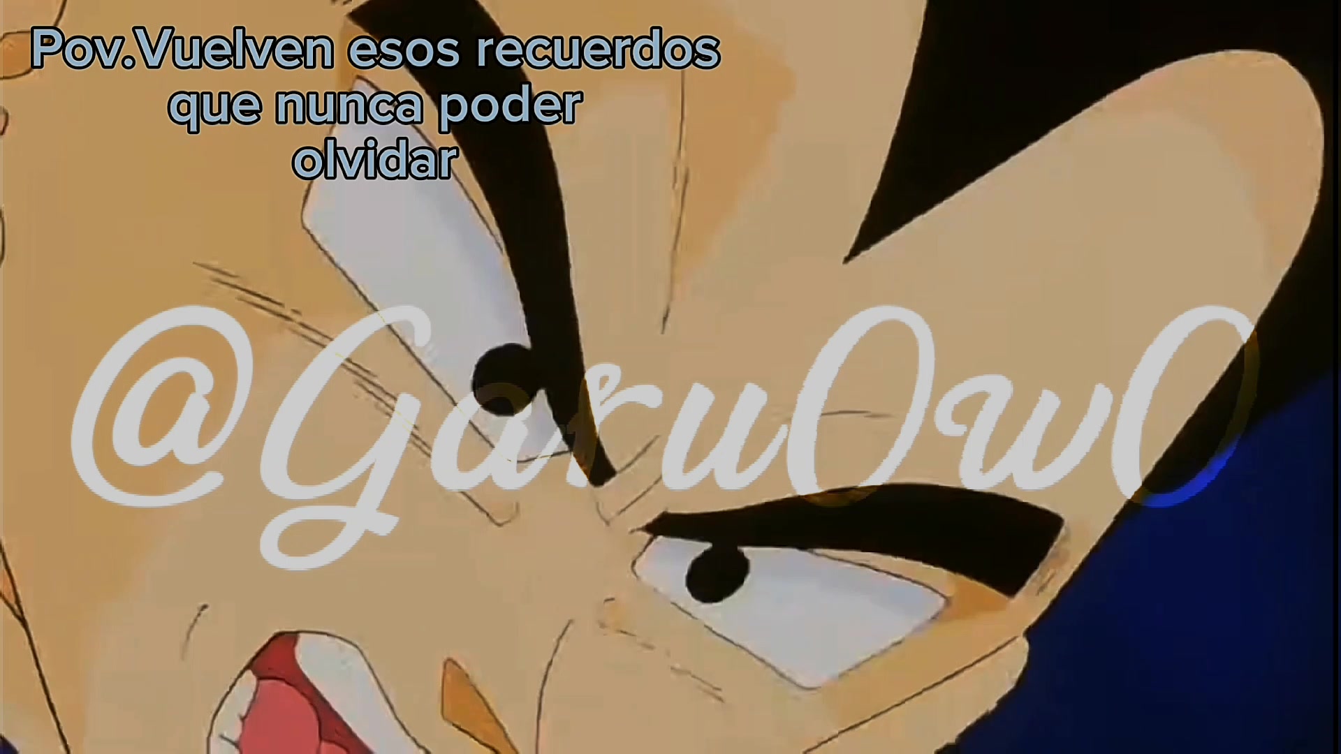 @Garu0w0