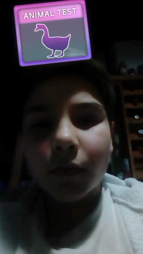 @karinagarcia7762
