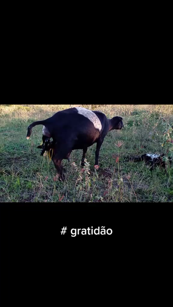 @Jacó