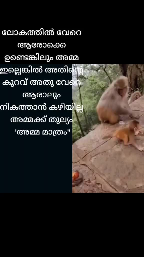 @Hari HaraN