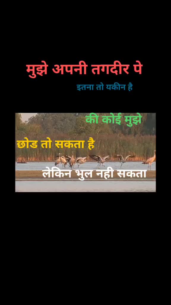 @Rahul Pawar
