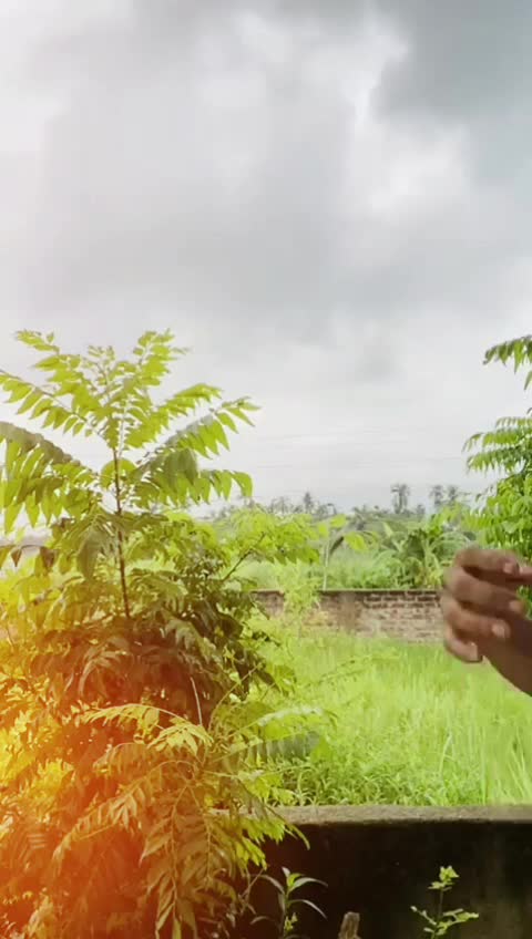 @Sarika Khan