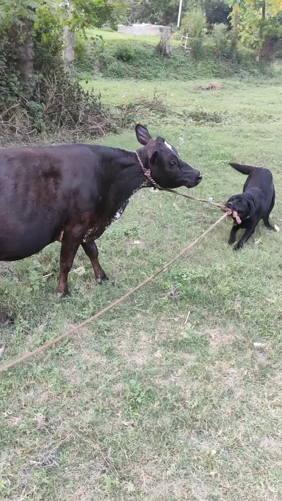 @KAMALKARTIK