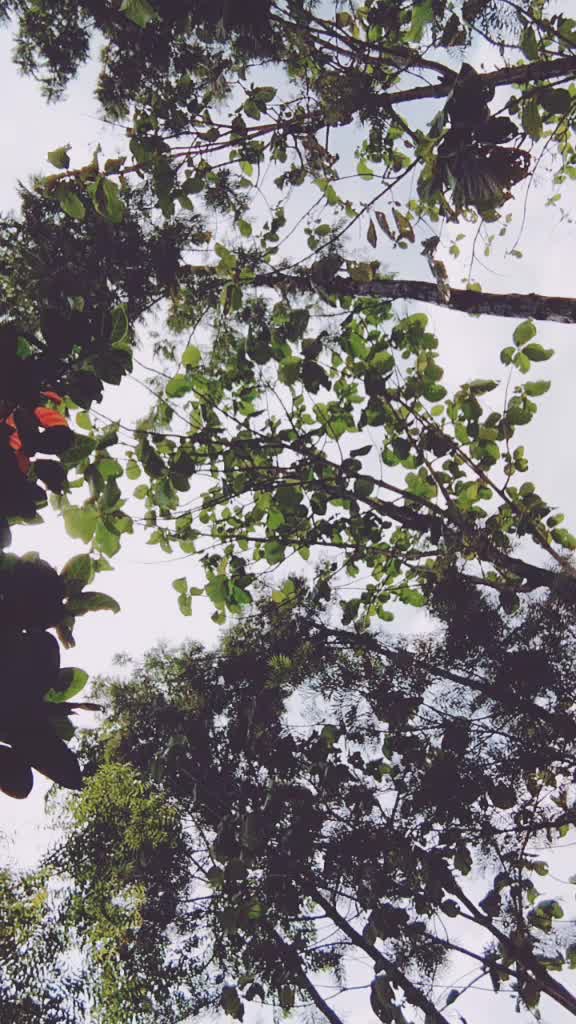 @devaraju