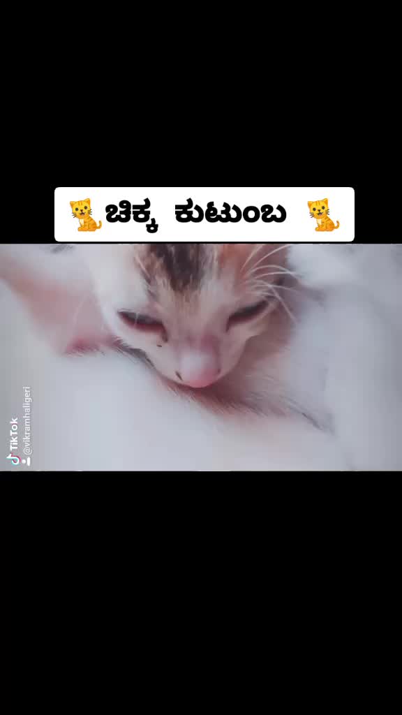 @🧙show man vikram🧙