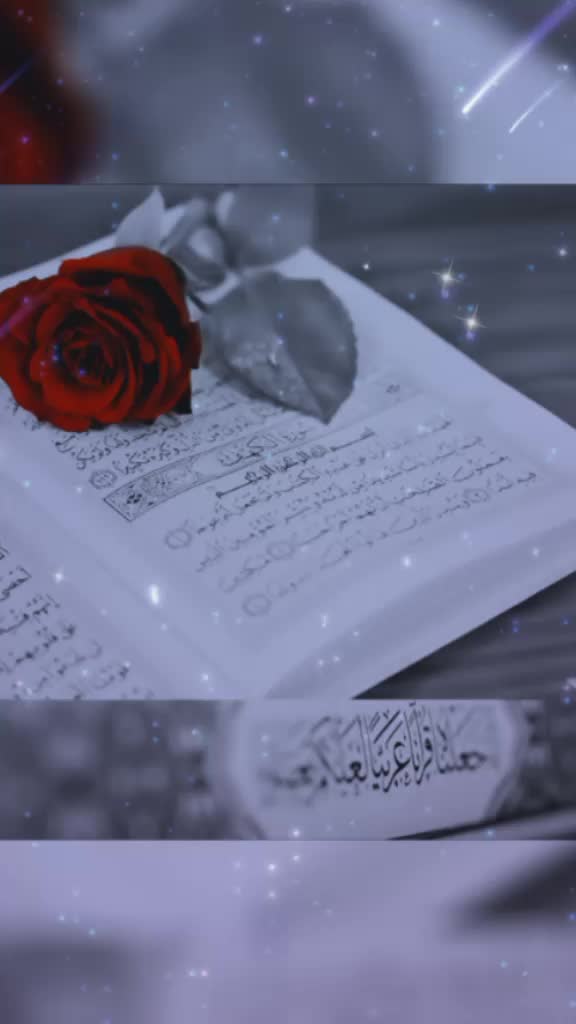 @Promi Ahmed