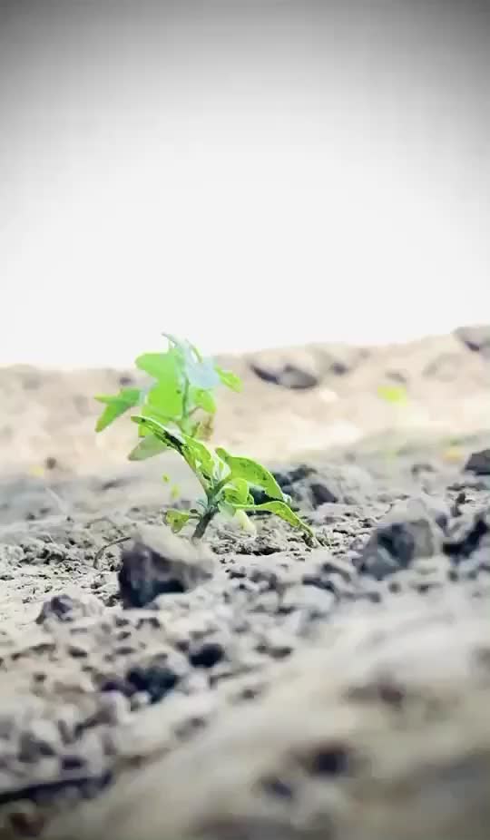 @Sangram Hanjra