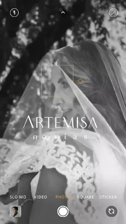 @artemisanoviasags