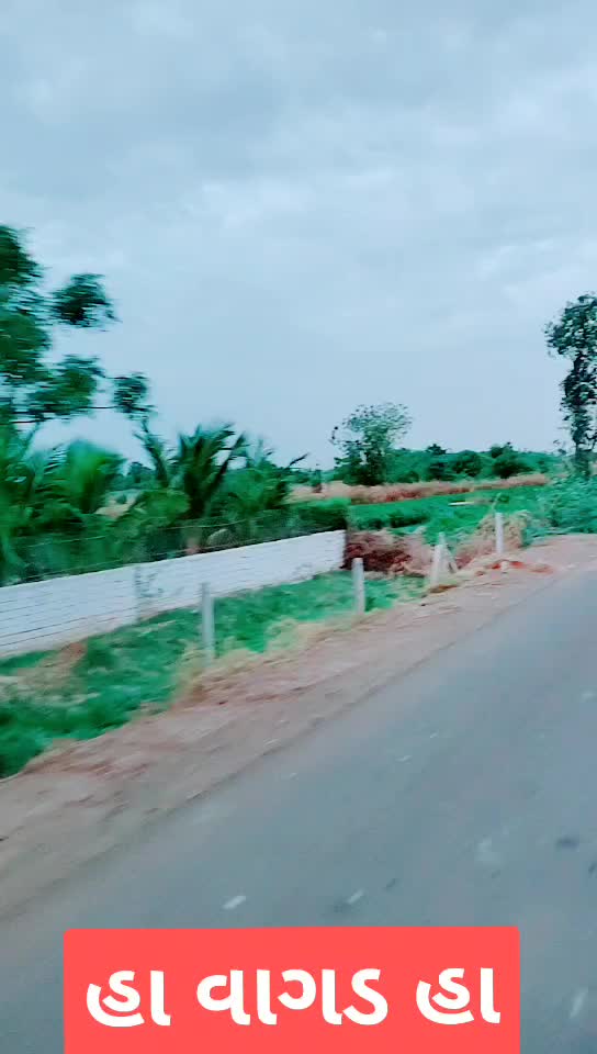 @Shindha Bhai Rabari