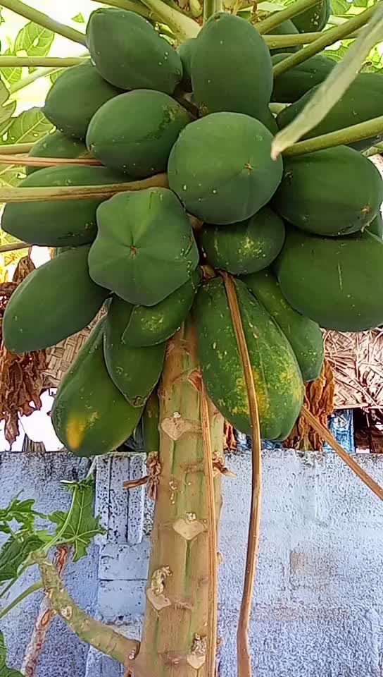 @Alagu Mutharaiyar