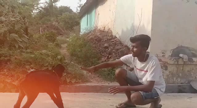 @Dolly deepu
