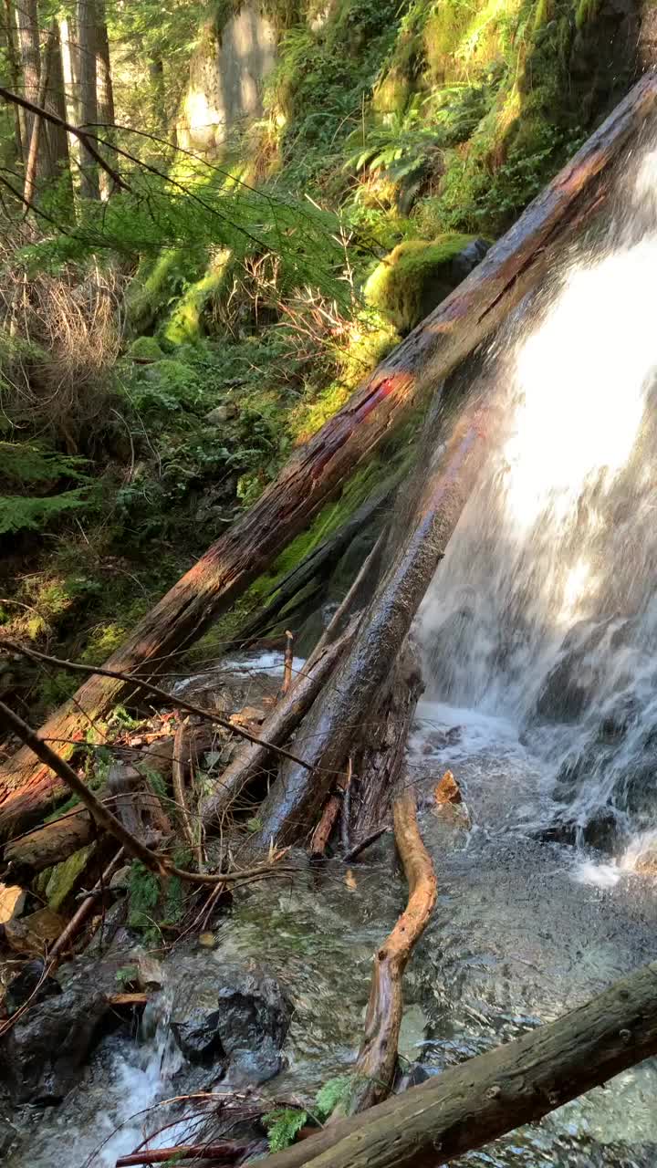 @PNW-Hikes