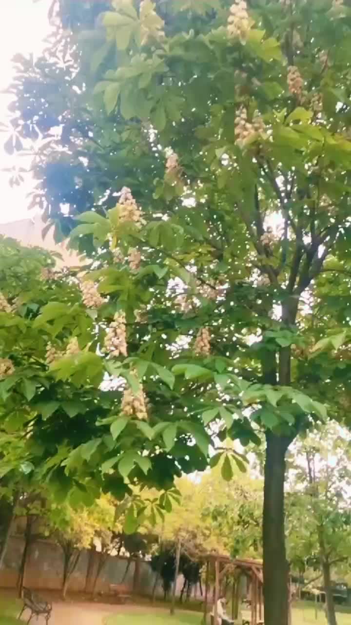 @beyzanisa.