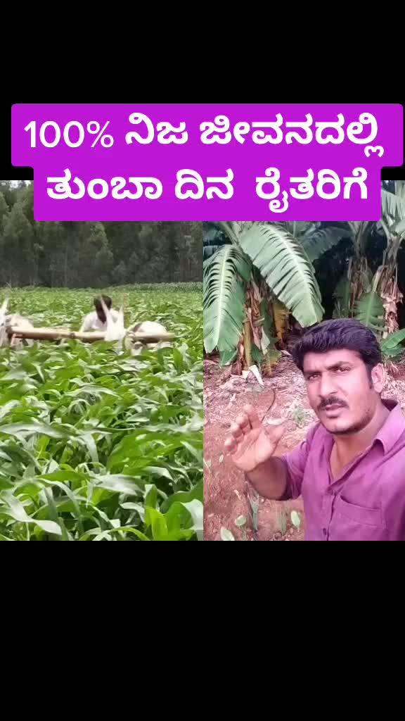 @ಜೈ ಬಸವಣ್ಣ ಲಿಂಗಾಯತ 🙏