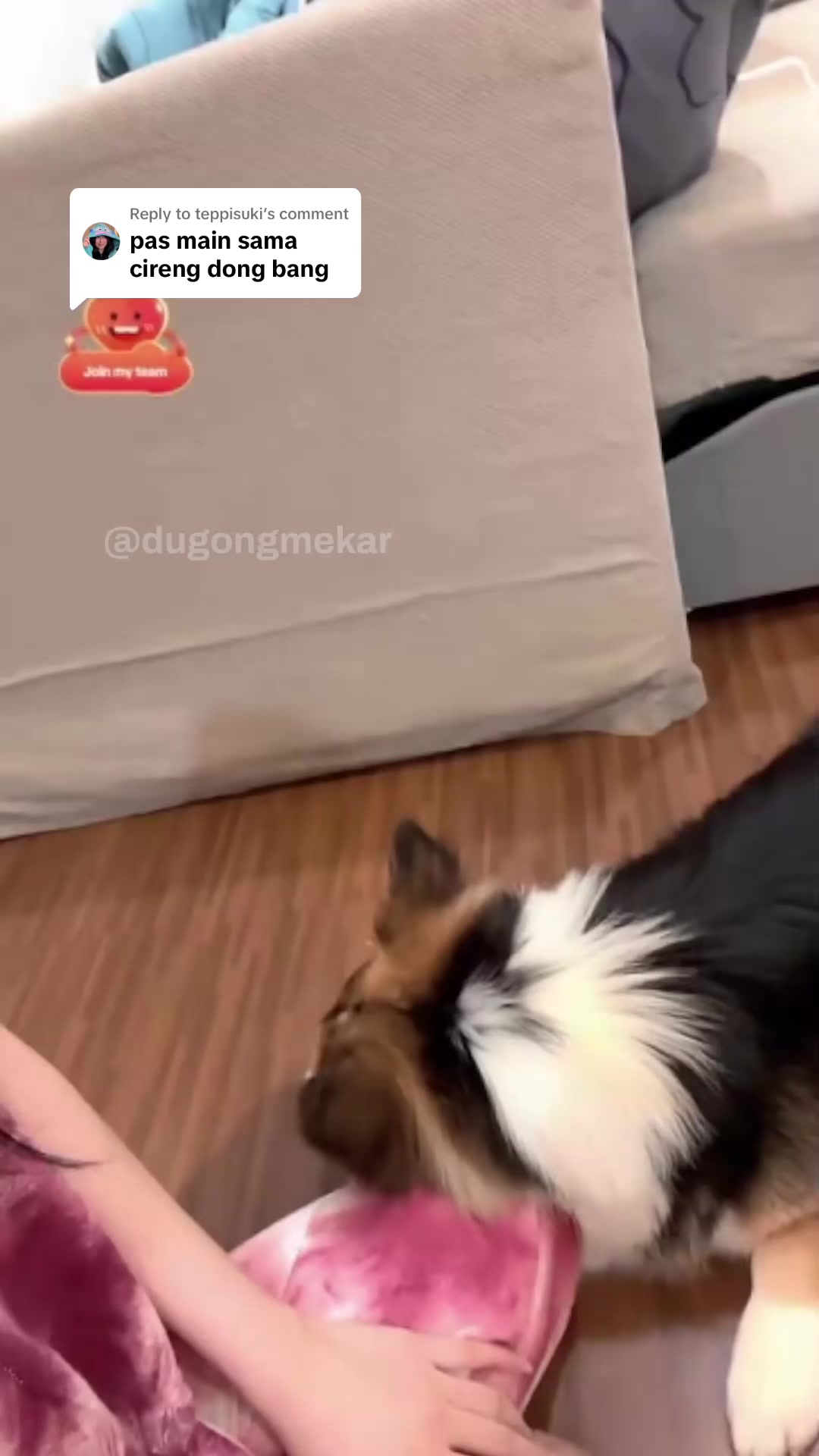 @dugongmekar