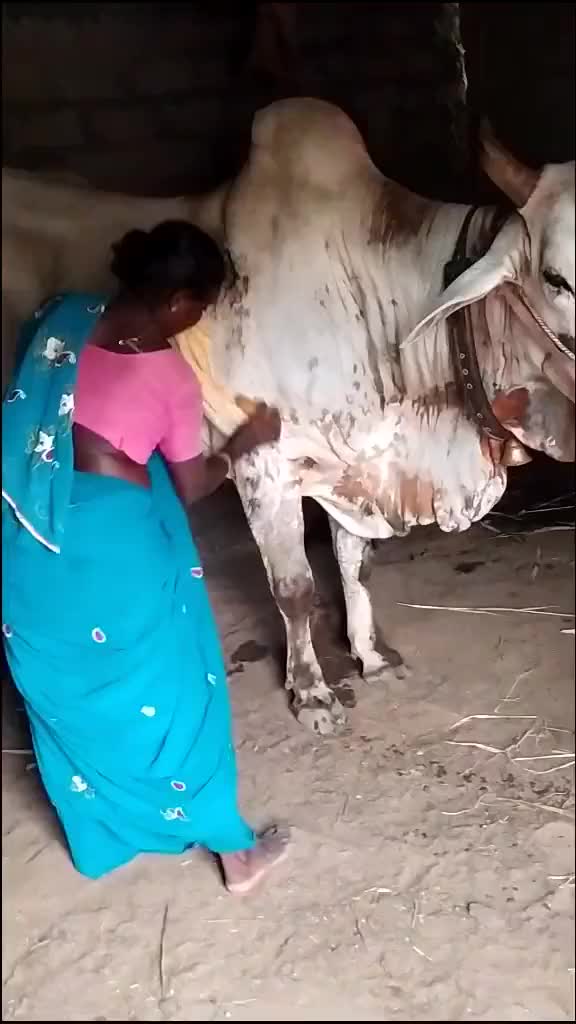 @user4228441397363