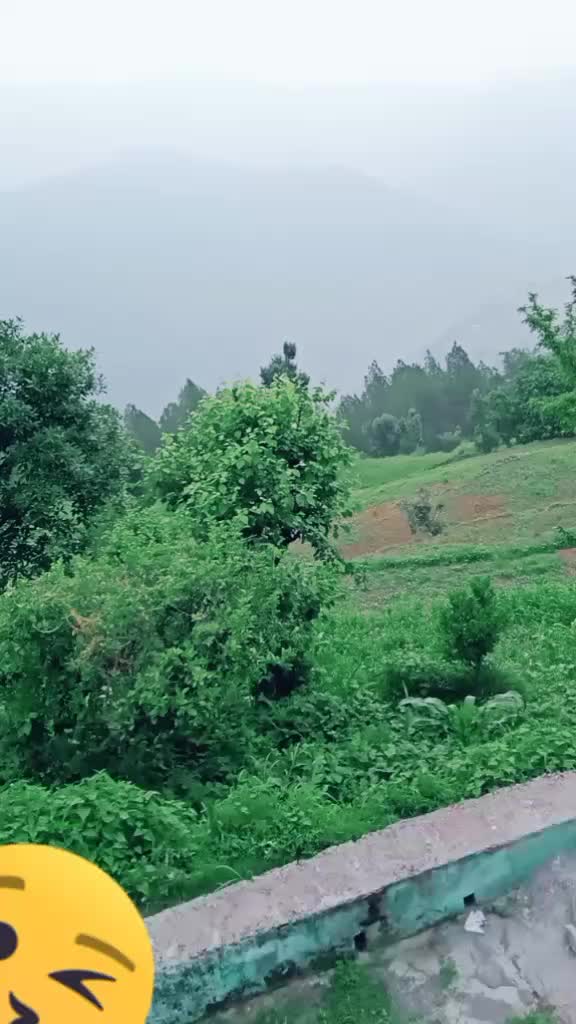 @Kinu Pari
