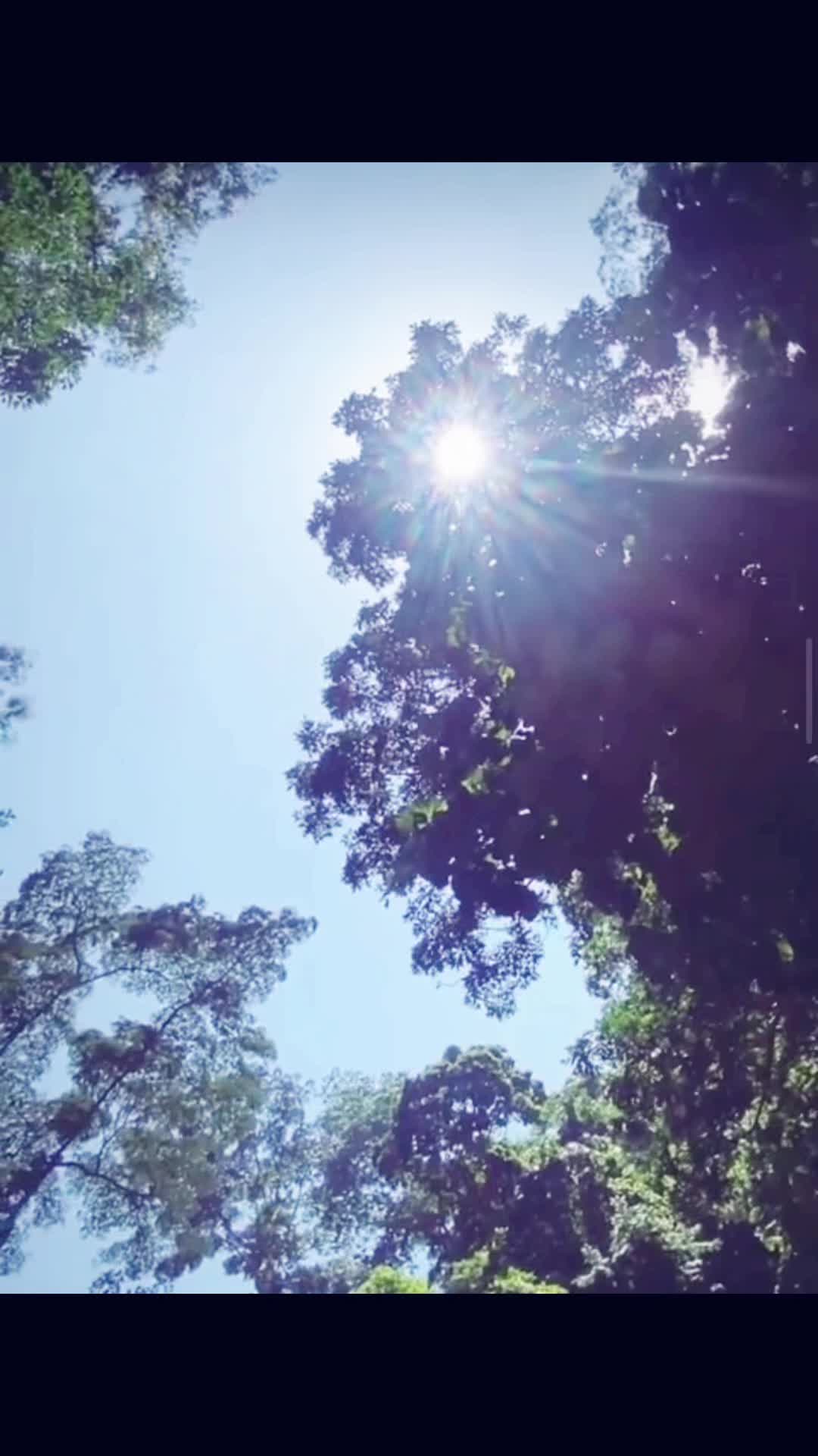 @akinwaleadeyemo
