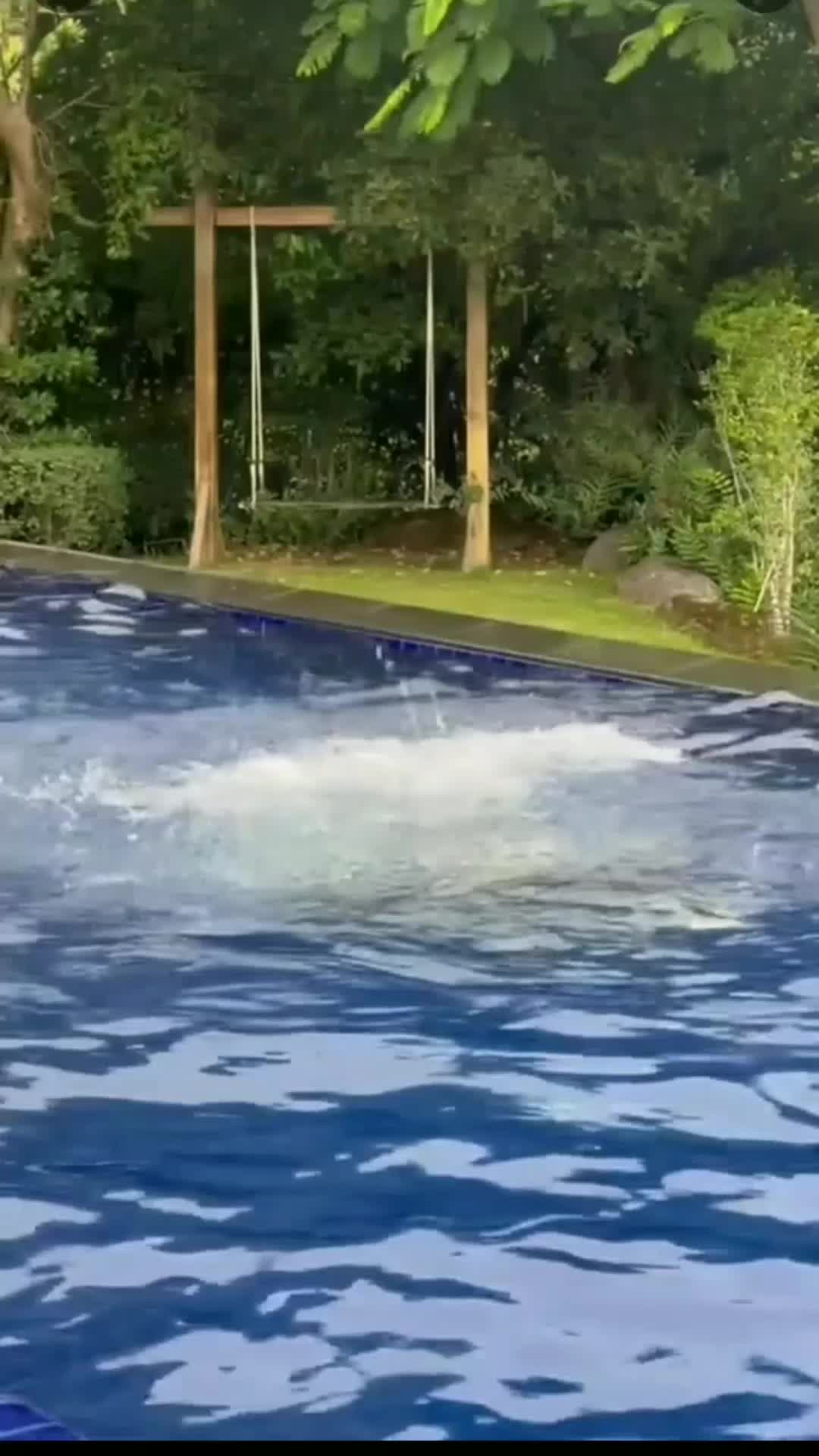 @oil_nubdao