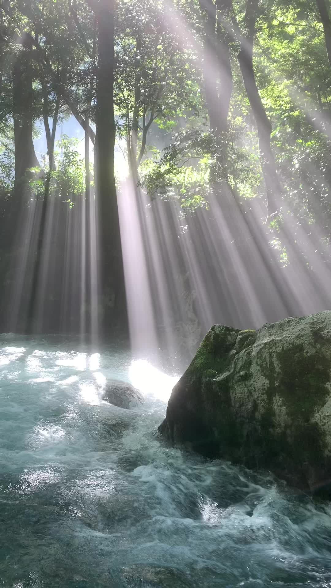 @りん湯｜廃墟と風景