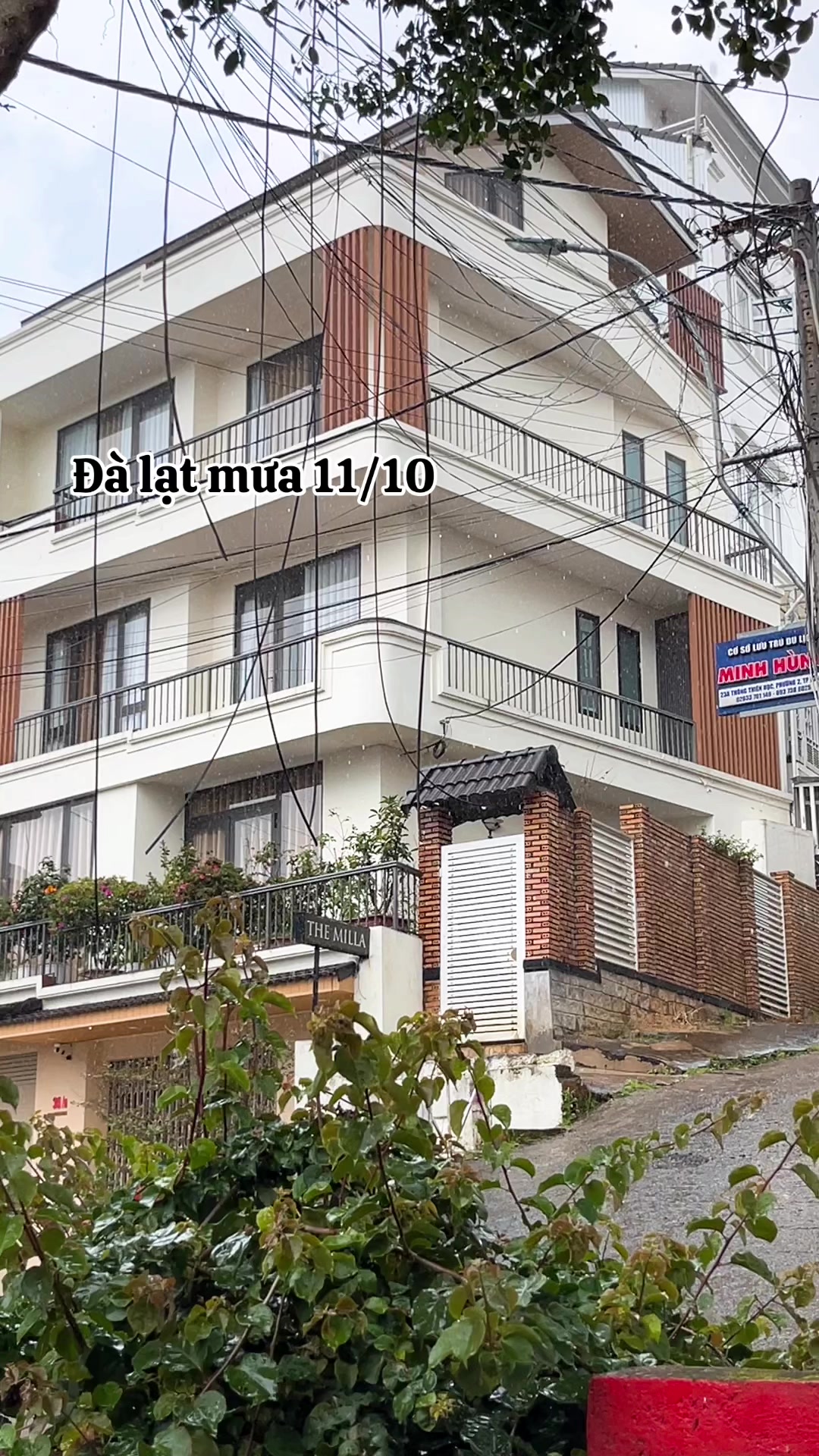 @MinThuy