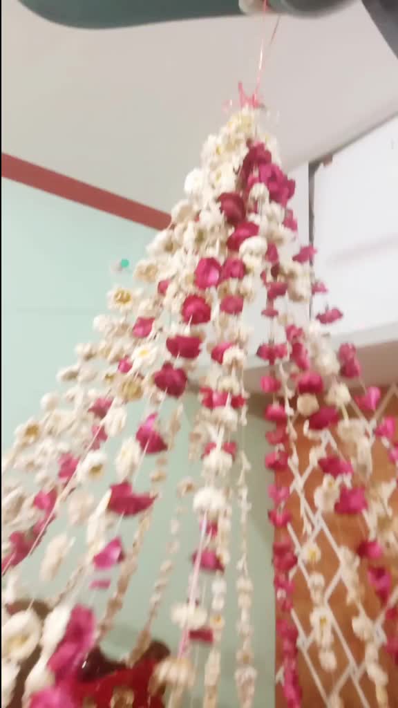 @Mohd Saqib Malik