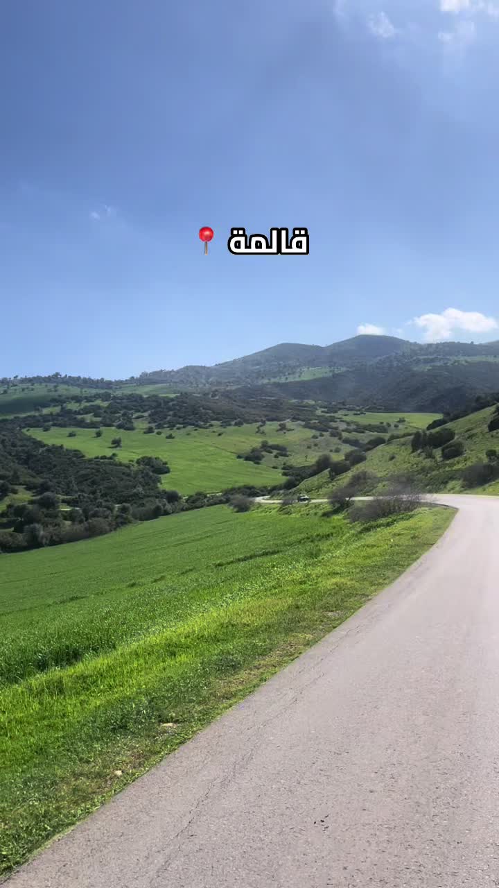 @vhmed.bazzet