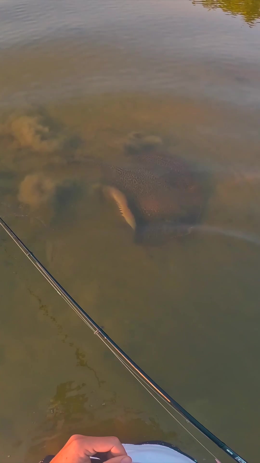 @JCsFishingShenanigans