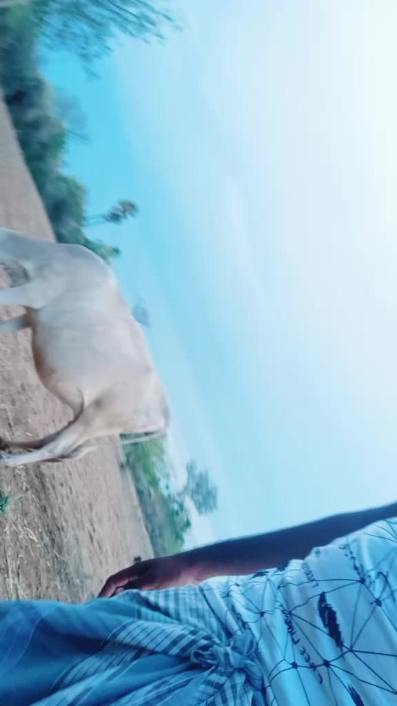 @KARUR MoKkA mUsEr Tj