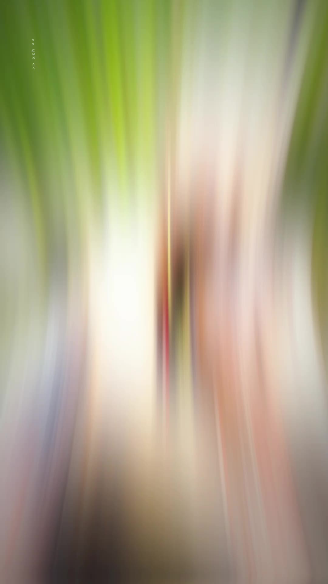 @ÝogaBœý