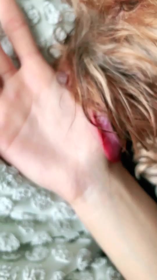 @user9661992759066