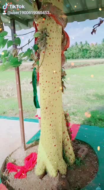 @kavya usha VRKU