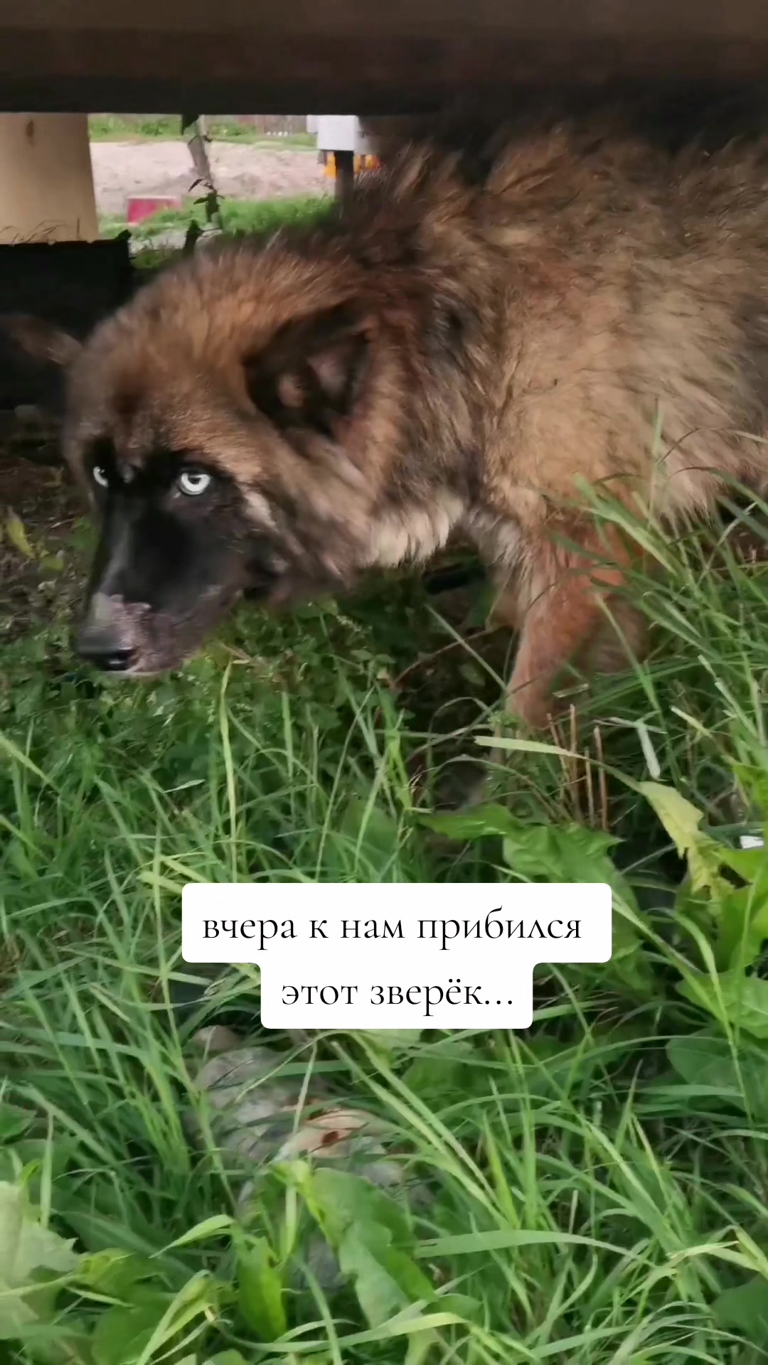 @тгк: несу свет (arina.lucik)