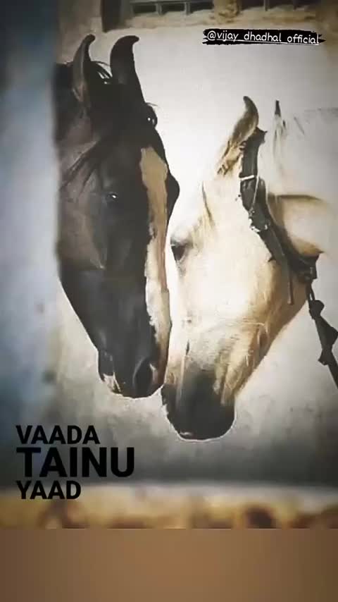 @user832968969073