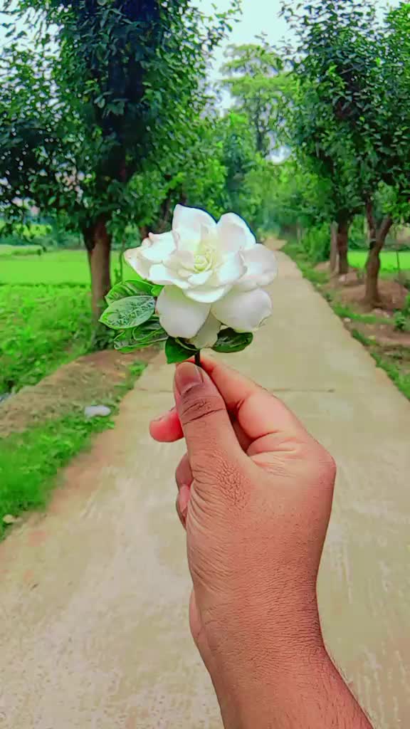 @সাইলা সারমিন ❤️❤️🌹🫰