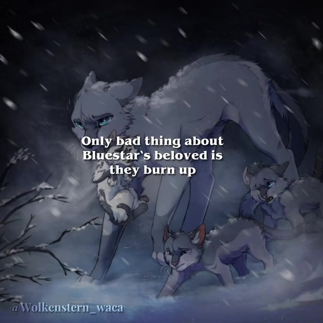@𝐖𝐨𝐥𝐤𝐞𝐧𝐬𝐭𝐞𝐫𝐧