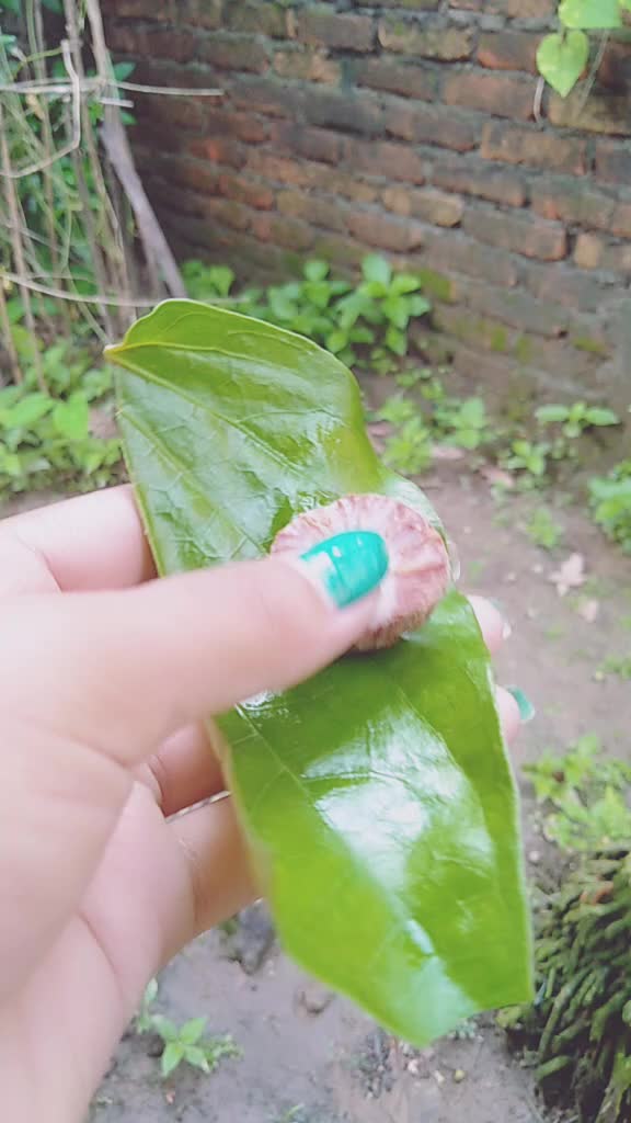 @Priyankadas