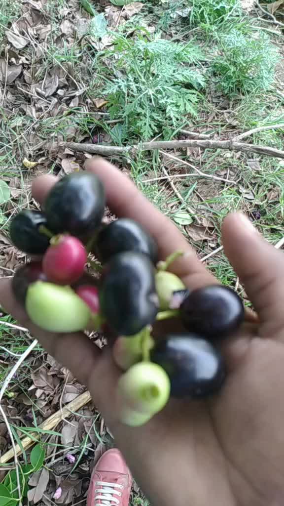 @संध्या