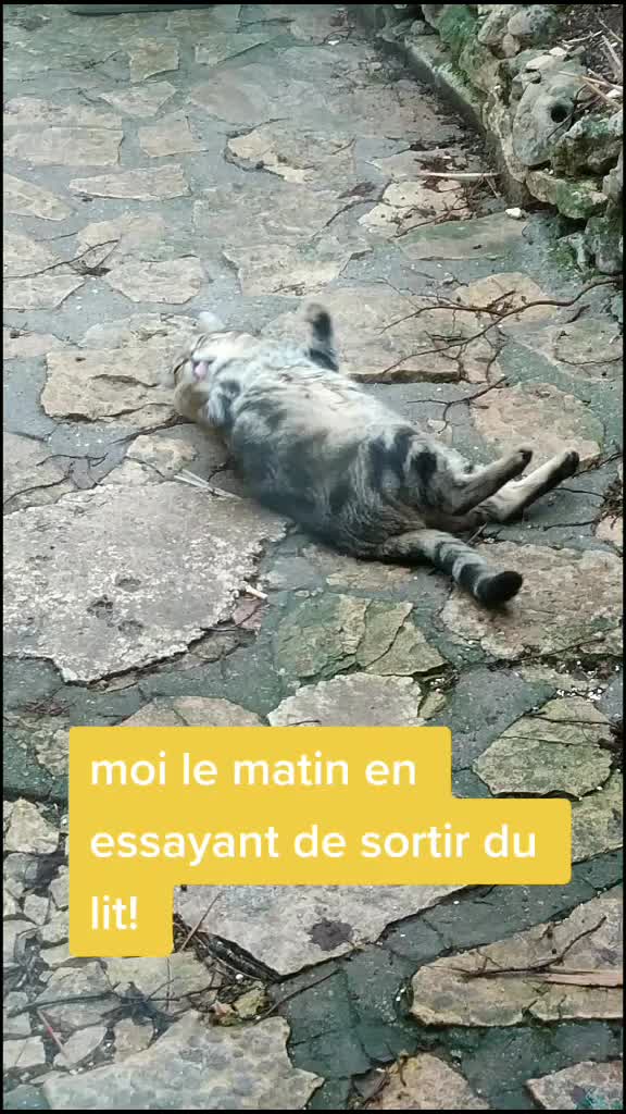 @Charlotte Szymoniak
