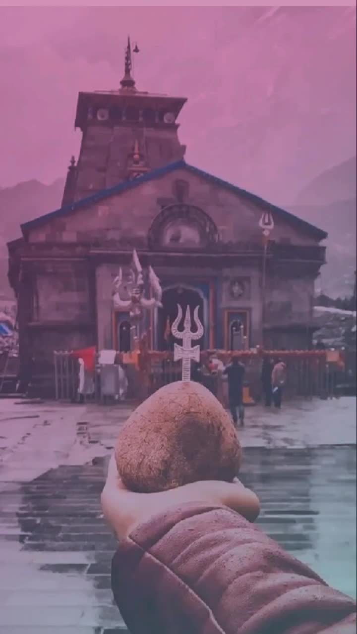 @user785493762955