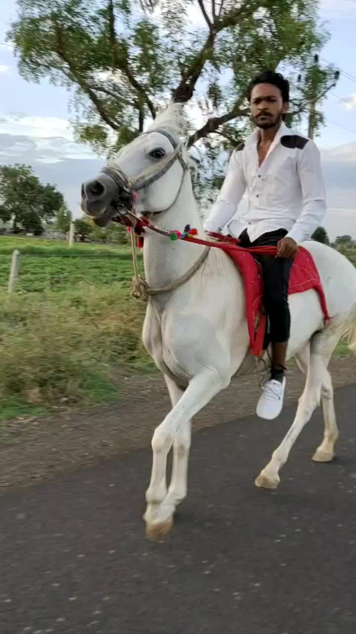 @JAY_MATAJI