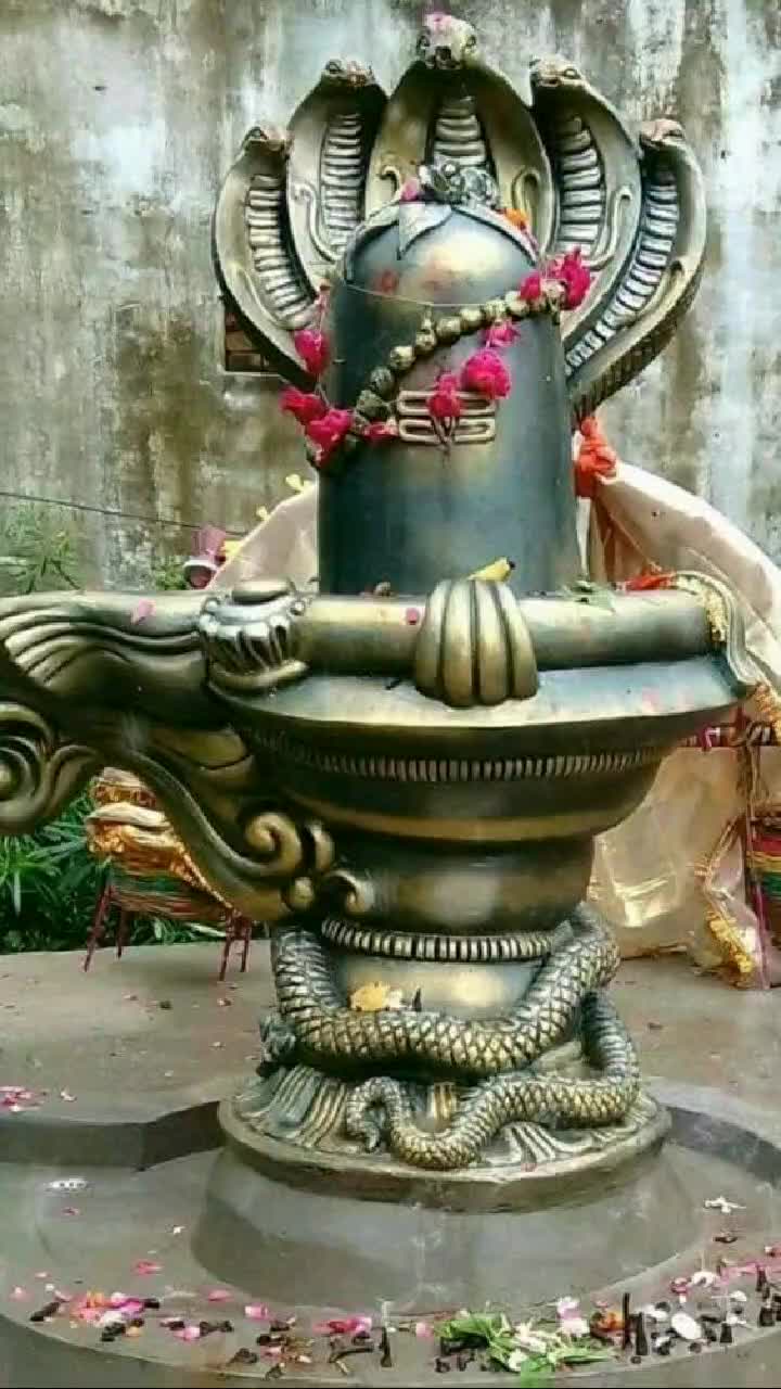 @Tanu Sharma