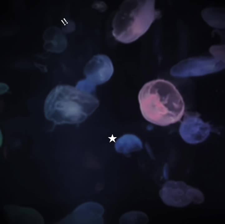 @☆