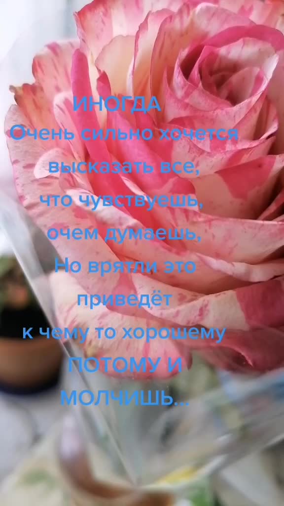 @марья